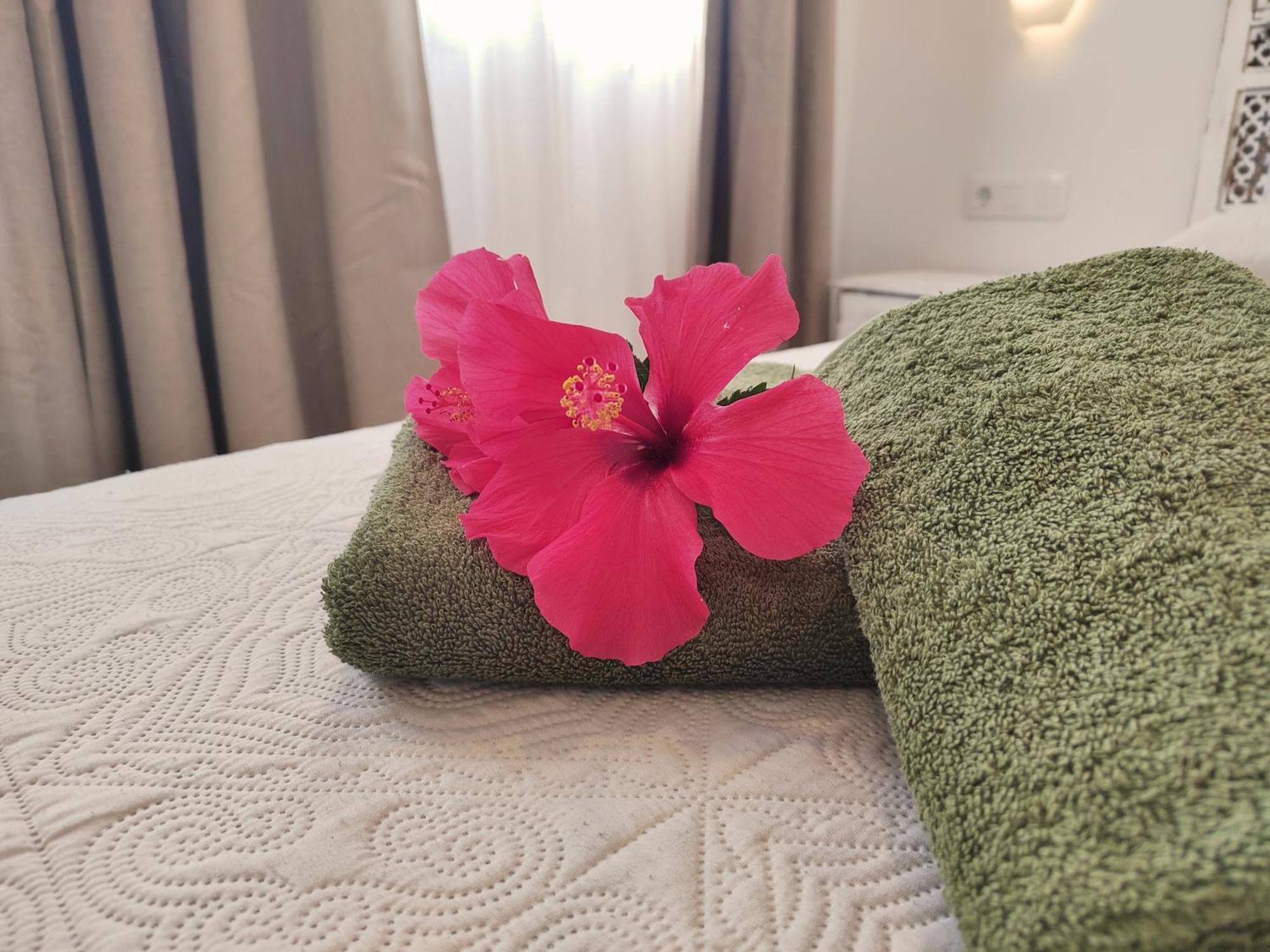 Tamarindo 27 Pool Front Next To The Dunes, Free Wifi Corralejo Exterior photo